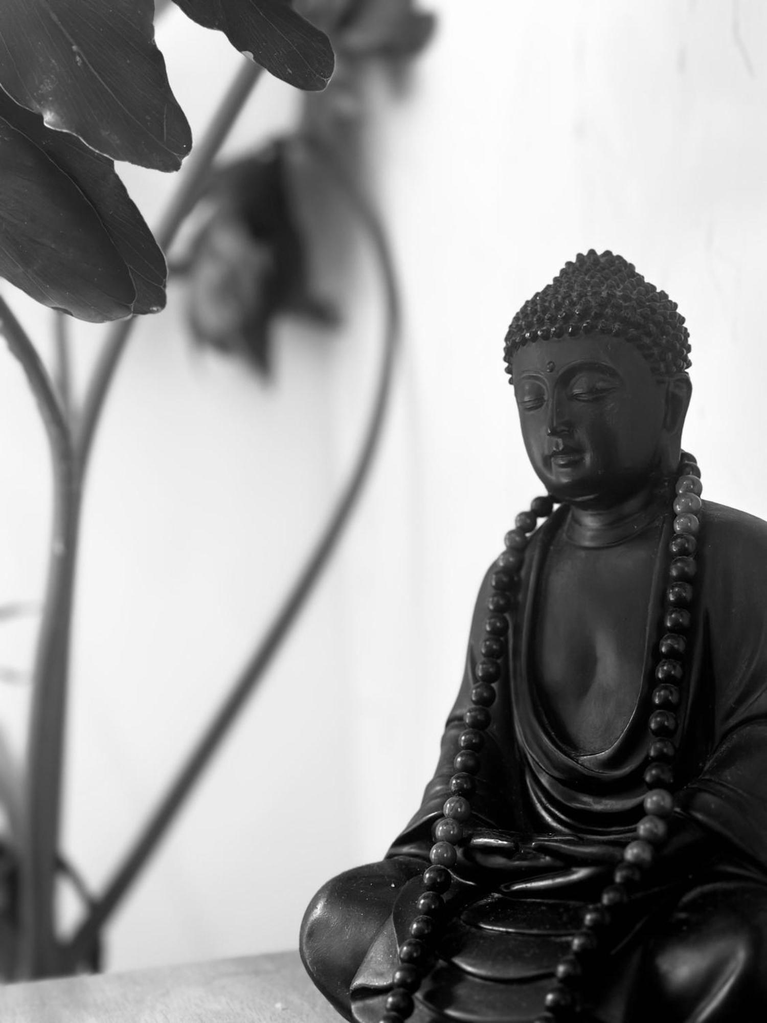 Casa Zen Com Vista Pro Cristo Casa de férias *